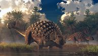 Lovci na dinosauruse nabasali na nešto monstruozno: Otisci stopala dokaz nove vrste