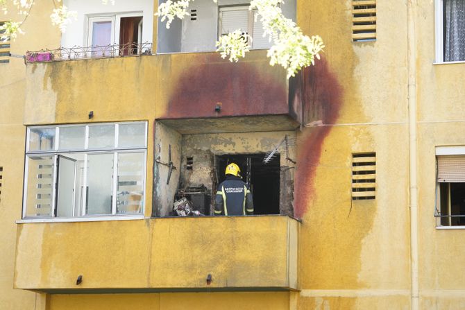 Požar zemun, Vatrogasci Požar zemun, Vatrogasci
