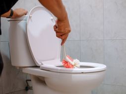 WC šolja, čišćenje