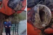 Radnici Hidroelektrane tokom rutinskog čišćenja doživeli pravi šok: Dizalicom izvlačili neman