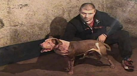 Milorad Andrić Beli, ubistvo