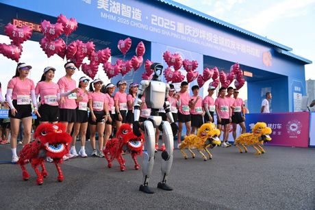 kina, roboti, maraton