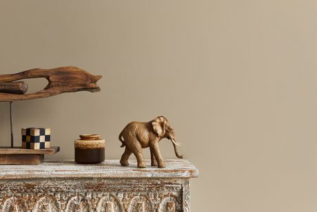 Slon, dekoracija