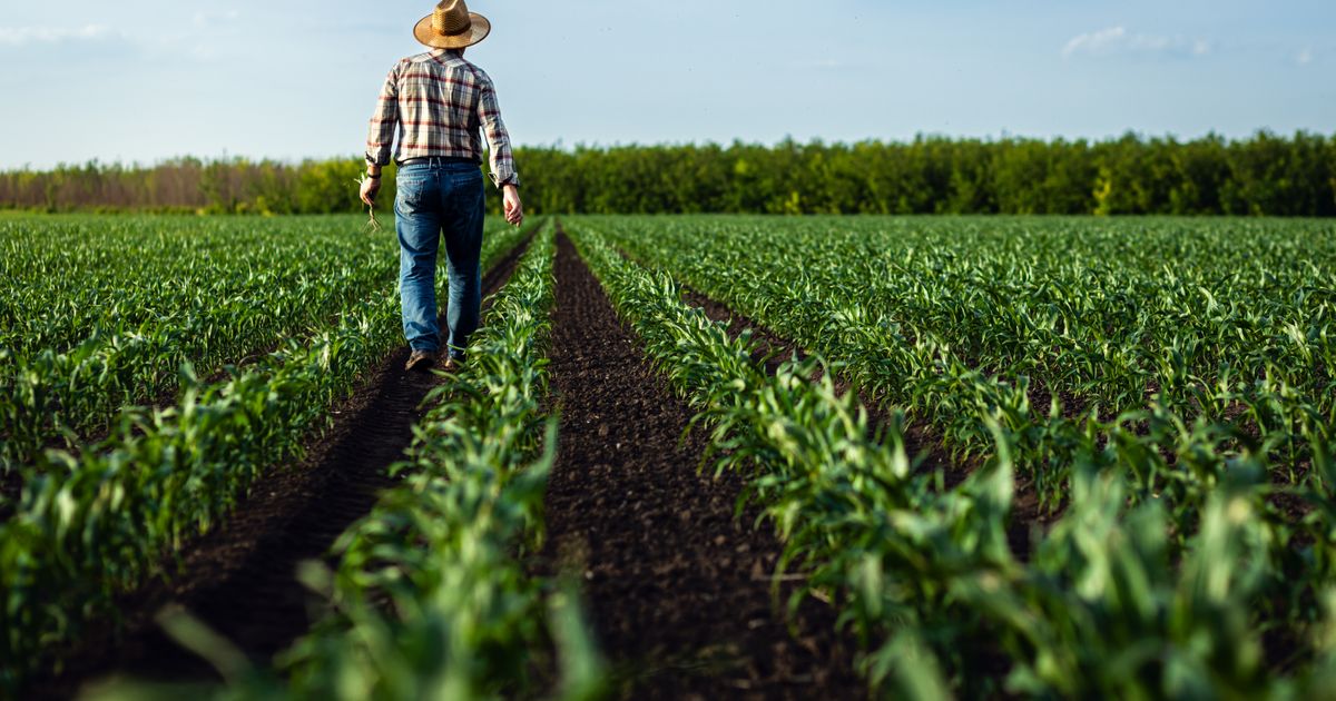 Čuvaju dedovinu: Vedrana i Marko od 