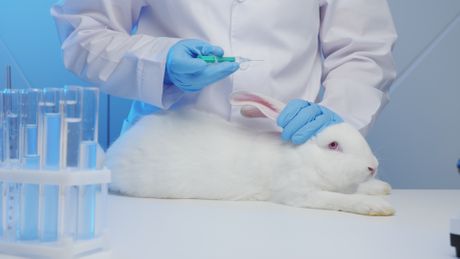 Laboratorijske životinje Laboratorijske životinje