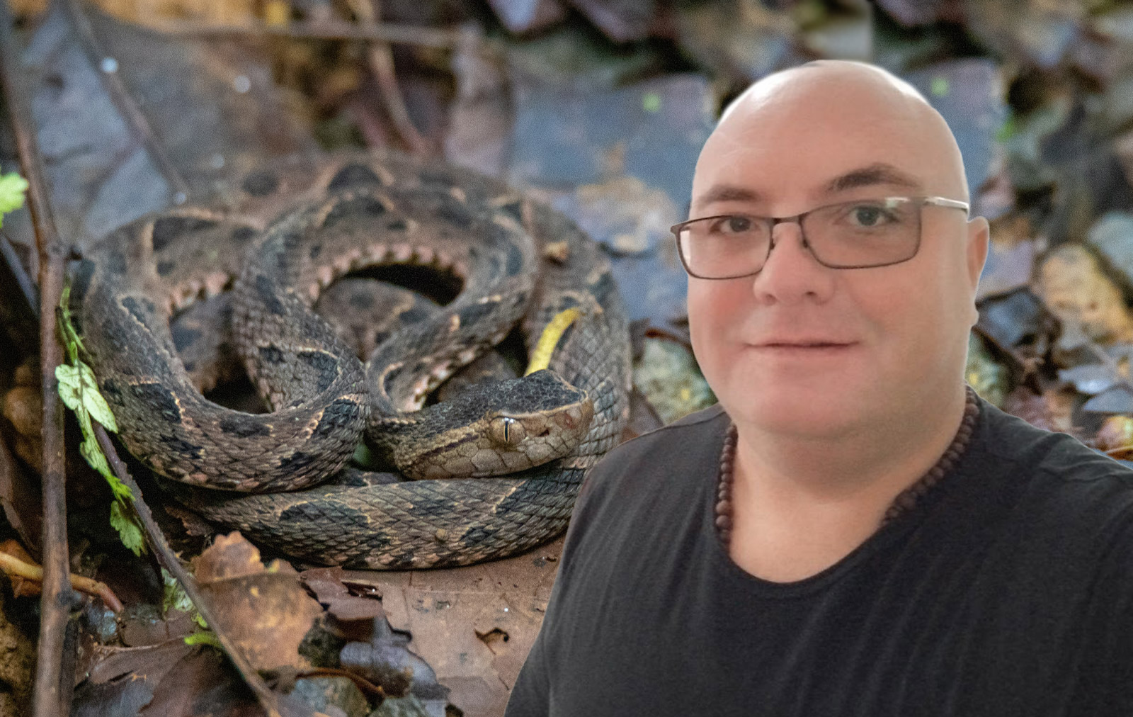 U Srbiji vreba OPASNA zmija! Vladica upozorava: Ujed izgleda specifično, jedan korak OBAVEZAN i spasava život