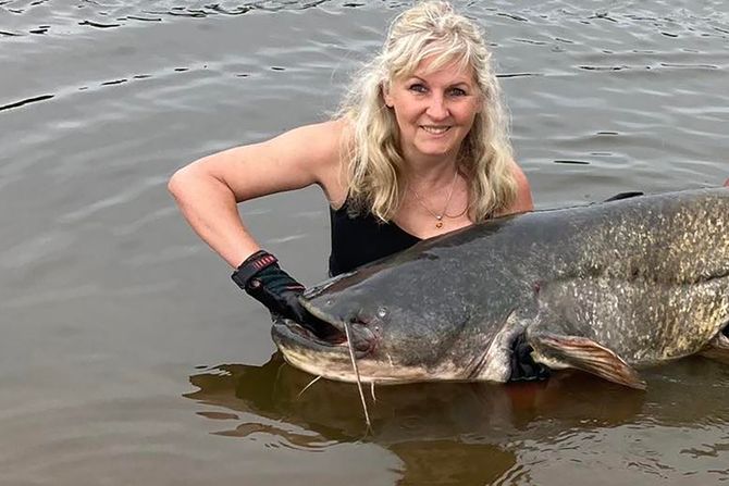 Christine Hein Christine Hein