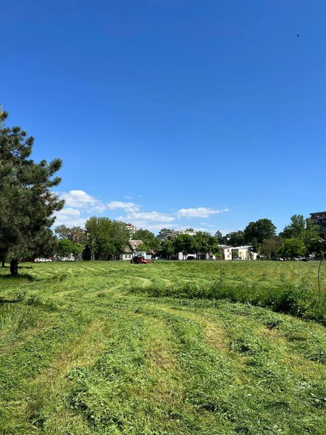 Petar, Pančevo, pokosio livadu