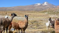 Zombi vulkan u Boliviji dugo zbunjuje istraživače: Misterija konačno rešena