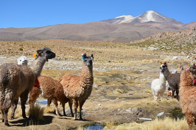 Vulkan Uturunku Vulkan Uturunku