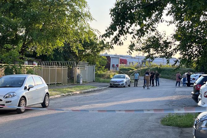 Altina, Dobanovački put, ubistvo, pucnjava, ranjavanje, tuča, masovna tuča Altina, Dobanovački put, ubistvo, pucnjava, ranjavanje, tuča, masovna tuča