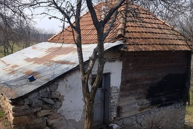 Kuća Milana Topalovića Topalka