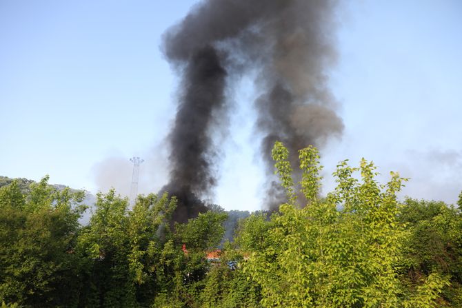 Požar Košutnjak Vagoni Požar Košutnjak Vagoni