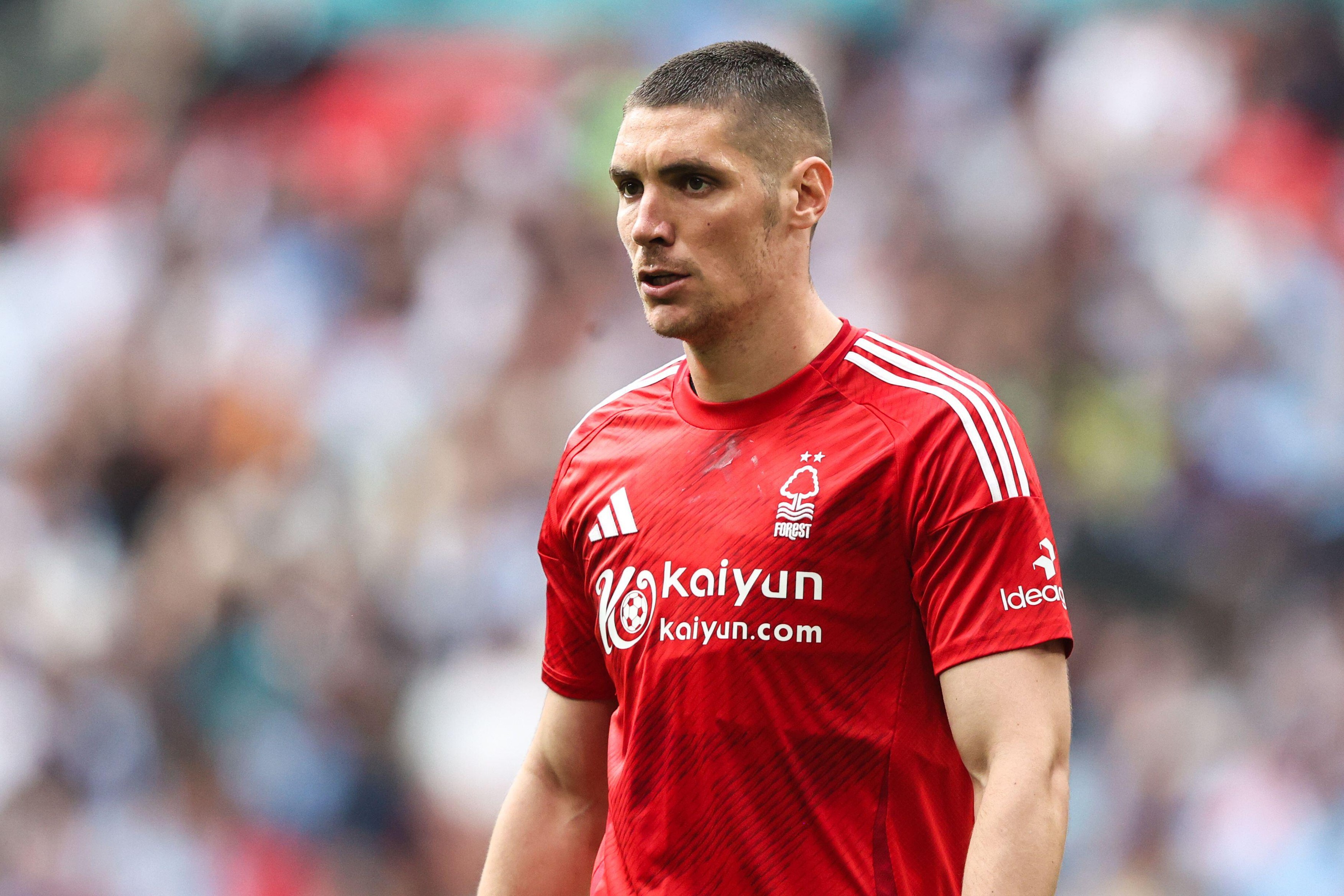 "Petarda" Milenkovićevih "Šumara" protiv Sanderlenda, Notingem sve bliže opstanku