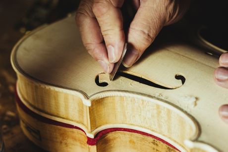 majstor, violina, zanat majstor, violina, zanat