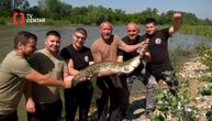 Neobičan ulov za Prvi maj: Svilajnčani izvukli iz Morave pravu premiju, pa učinili ono što niko nije očekivao