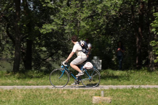 Suncan dan, Beograd, proleće, lepo vreme Suncan dan, Beograd, proleće, lepo vreme