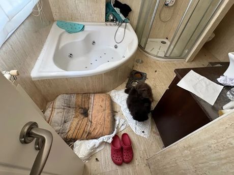 Vila Španija, otac i majka držali decu 4 godine unutra Vila Španija, otac i majka držali decu 4 godine unutra