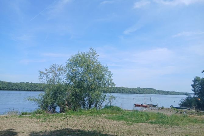 pancevo, pecaros, potraga pancevo, pecaros, potraga