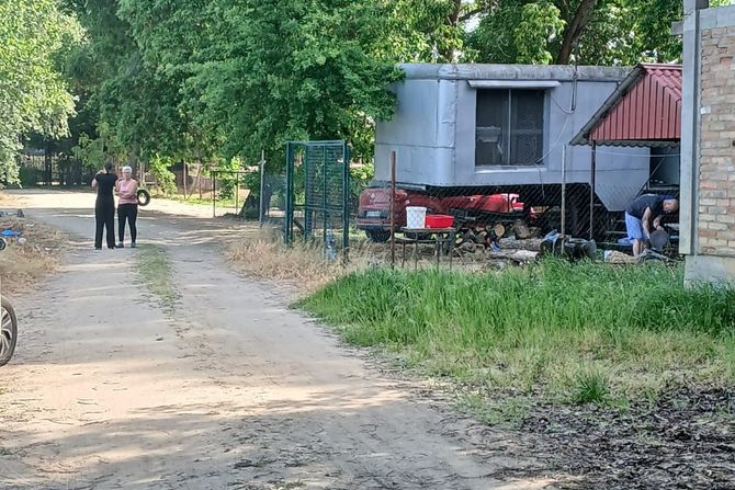 pancevo, pecaros, potraga pancevo, pecaros, potraga