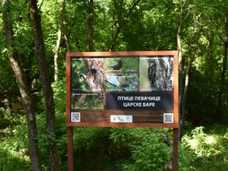 PAVKOV CARSKA BARA OBILAZAK