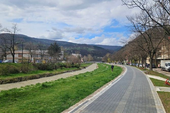 šuma šuma