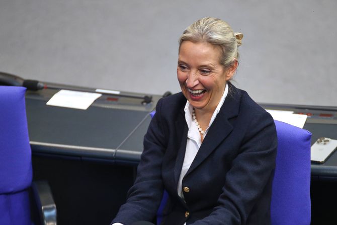 Alis Vajdel Alis Vajdel