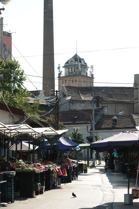 Pijaca Bajloni Pijaca Bajloni