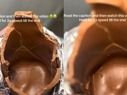 Čokoladni zeka, insekti