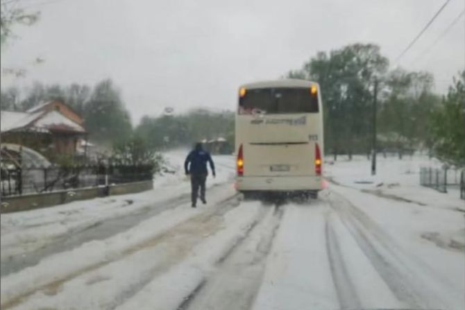 Oluja, Smederevska Palanka Oluja, Smederevska Palanka