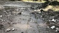 Mislili da je medved, a dočekao ih neočekivan prizor: Beograđani na Tari ostali u šoku kada su otvorili vrata!
