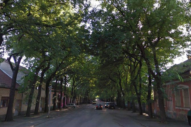 generala petra drapsina kikinda
