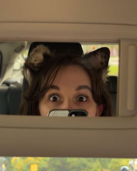 Lola barks Lola barks