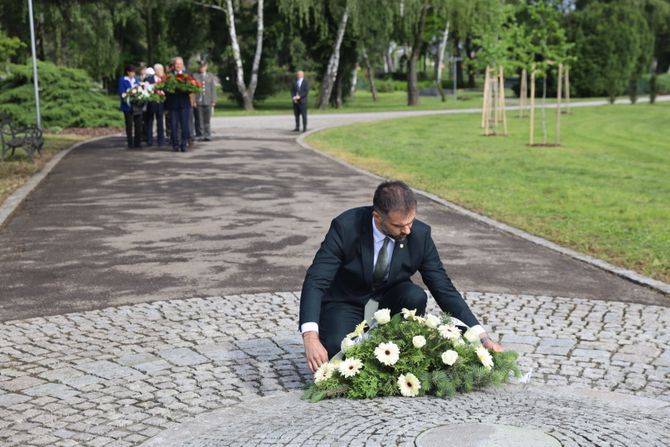 Dan Pobede, Novi Sad, gradonačelnik Žarko Mićin Dan Pobede, Novi Sad, gradonačelnik Žarko Mićin