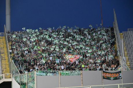 FK Betis, navijači FK Betis, navijači