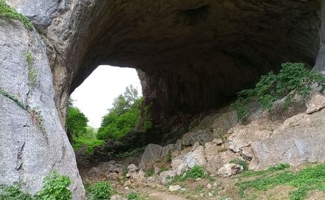 Čudo prirode na Zlatiboru Čudo prirode na Zlatiboru