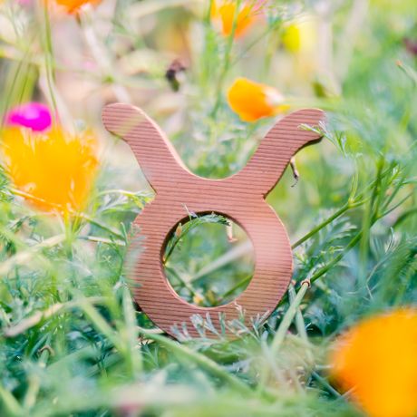 Horoskop Horoskop