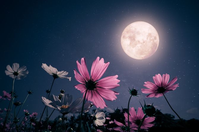 Horoskop Horoskop