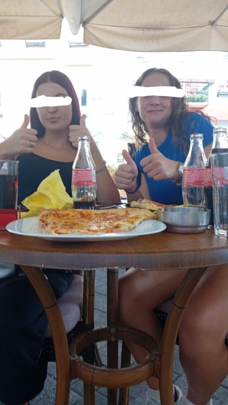 Saru ujeo pas u Novom Sadu Saru ujeo pas u Novom Sadu