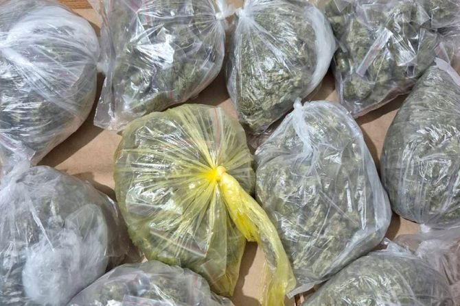 droga, zaplena droga, zaplena