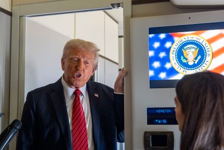 Donald Tramp Donald Tramp