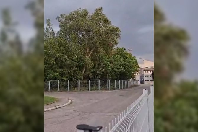 Beograd oluja nevreme Beograd oluja nevreme