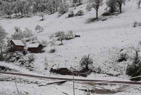 Zlatibor sneg Zlatibor sneg