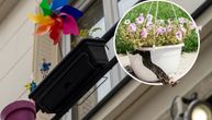 Nevreme je juče napravilo haos u Beogradu: Jedna žena ugledala je saksiju koja "leti" s vrha solitera