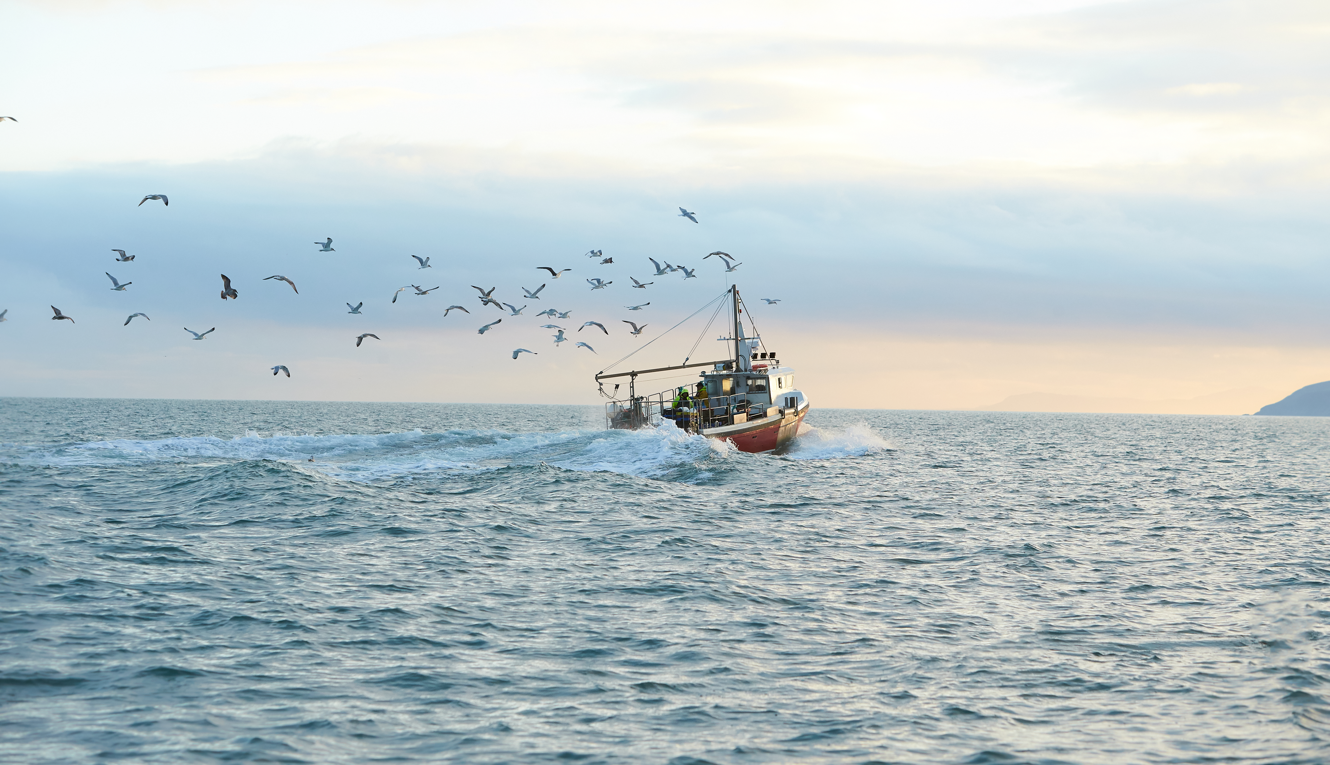 NEVIĐEN PRIZOR U JADRANU Morska grdosija se zapetljala u mrežu: Kad su je izvukli, usledilo ŠOK IZNENAĐENJE