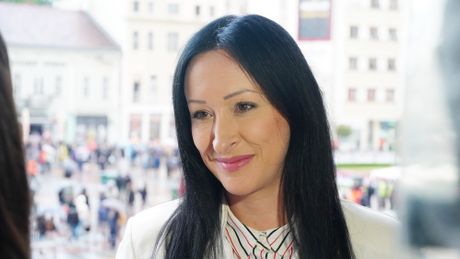 Svenarodni sabor u Nišu