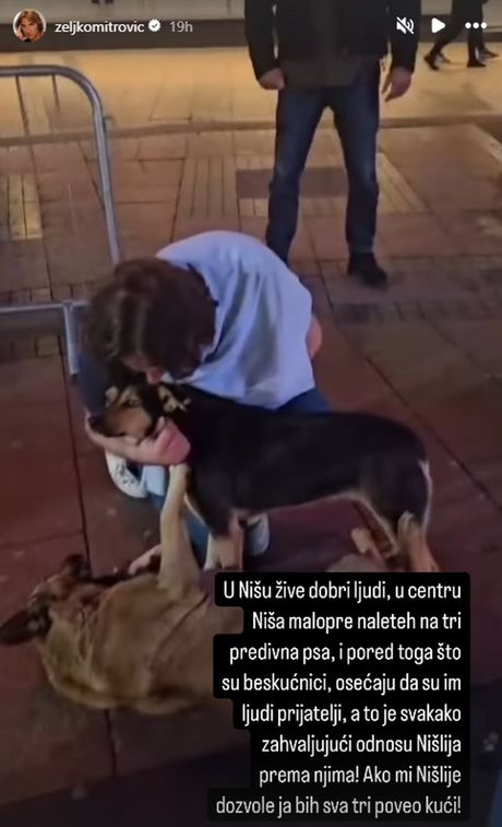 Željko Mitrović Željko Mitrović