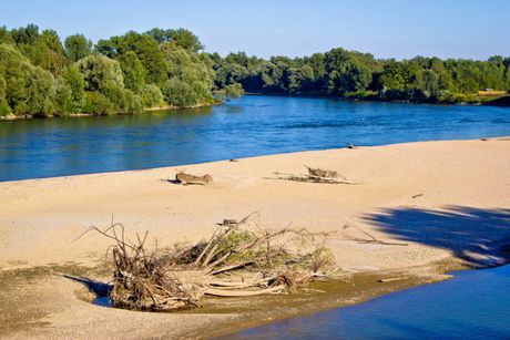 drava, reka drava, reka