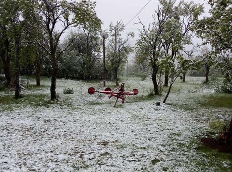 planina Javor planina Javor