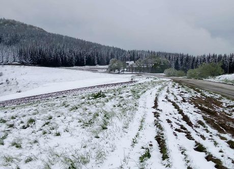 planina Javor planina Javor